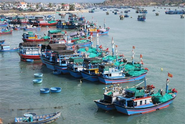Améliorer la capacité des flottes de pêche hauturière ảnh 3 Améliorer la capacité des flottes de pêche hauturière ảnh 3