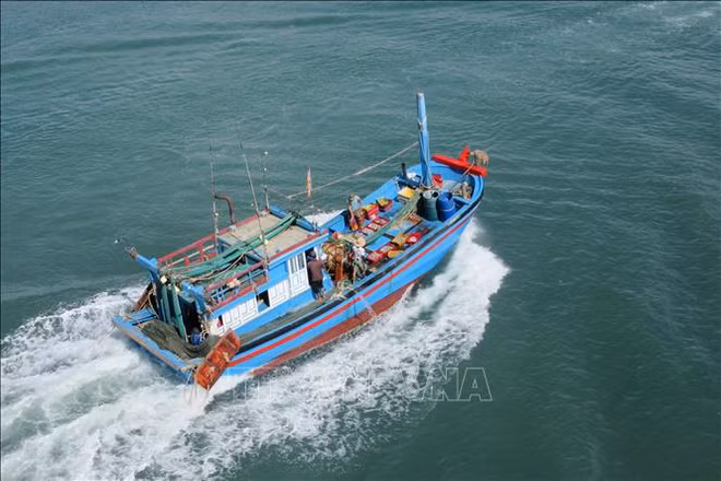 Améliorer la capacité des flottes de pêche hauturière ảnh 1 Améliorer la capacité des flottes de pêche hauturière ảnh 1