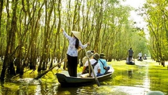Parc national de Tràm Chim, un site touristique célèbre de Dông Thap ảnh 1 Parc national de Tràm Chim, un site touristique célèbre de Dông Thap ảnh 1
