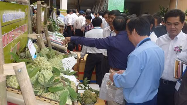 Les exportations vietnamiennes vers l’ASEAN ont rebondi ảnh 1