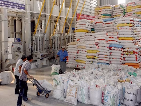 Appel d'offres du Bangladesh pour l'importation de riz ảnh 1