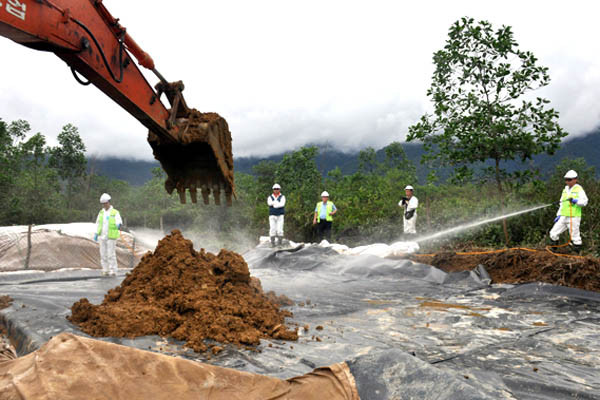 Décontamination de la dioxine par les micro-organismes ảnh 1 Décontamination de la dioxine par les micro-organismes ảnh 1
