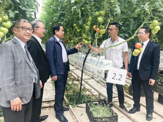 Le Vietnam et l’Australie renforcent leur coopération dans l’éducation ảnh 2 Le Vietnam et l’Australie renforcent leur coopération dans l’éducation ảnh 2