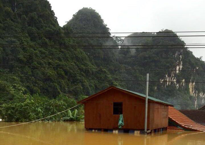 Hanoï : Soirée de collecte de fonds pour le projet « nha chong lu » ảnh 3