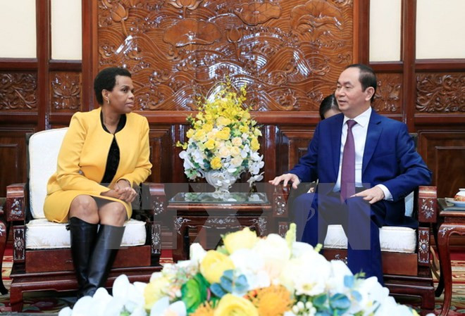 Promotion de la coopération intégrale Vietnam - Afrique du Sud ảnh 1 Promotion de la coopération intégrale Vietnam - Afrique du Sud ảnh 1