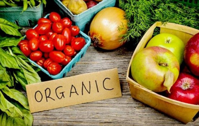 L'Indonésie renforce l'exportation de produits bio ảnh 1 L'Indonésie renforce l'exportation de produits bio ảnh 1