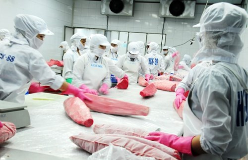 Les exportations du Vietnam atteindront 500 milliards de dollars en 2019 ảnh 1 Les exportations du Vietnam atteindront 500 milliards de dollars en 2019 ảnh 1