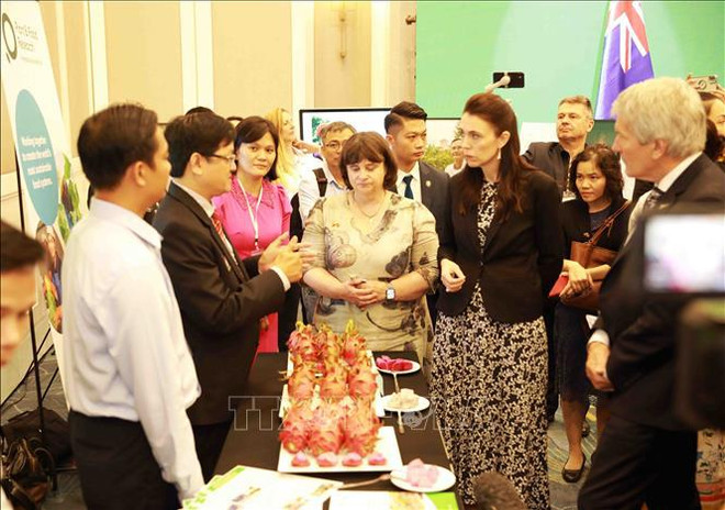 L'agriculture est un domaine d'intérêt clé pour la coopération Vietnam-Nouvelle-Zélande ảnh 1 L'agriculture est un domaine d'intérêt clé pour la coopération Vietnam-Nouvelle-Zélande ảnh 1