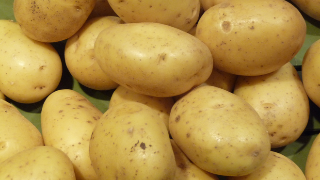 Vietnam: Marché potentiel pour les pommes de terre néo-zélandaises ảnh 1 Vietnam: Marché potentiel pour les pommes de terre néo-zélandaises ảnh 1