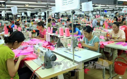 Libre-échange : Financial Times commente l’accord Vietnam-UE ảnh 1