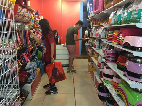 Le commerce des animaux de compagnie ont le vent en poupe ảnh 1 Le commerce des animaux de compagnie ont le vent en poupe ảnh 1