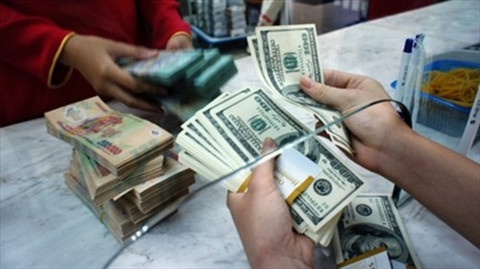 La politique de change du Vietnam vise à un surcroît de flexibilité ảnh 2 La politique de change du Vietnam vise à un surcroît de flexibilité ảnh 2