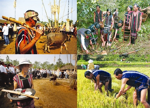 Les serpes sacrées des K’Ho ảnh 1 Les serpes sacrées des K’Ho ảnh 1