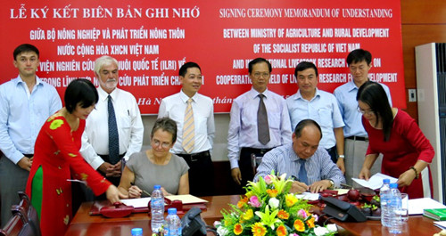 Le Vietnam et l'Institut international de recherche sur l’élevage coopèrent dans l'élevage ảnh 1 Le Vietnam et l'Institut international de recherche sur l’élevage coopèrent dans l'élevage ảnh 1