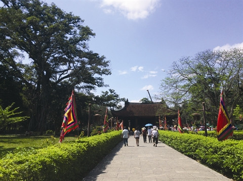 À Lam Kinh, deux arbres phénoménaux ảnh 1 À Lam Kinh, deux arbres phénoménaux ảnh 1