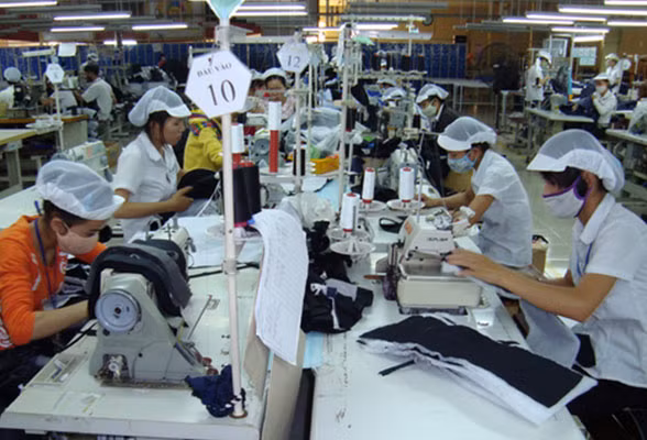 Tarifs préférentiels grâce à l'Accord de libre-échange UE-Vietnam ảnh 1 Tarifs préférentiels grâce à l'Accord de libre-échange UE-Vietnam ảnh 1