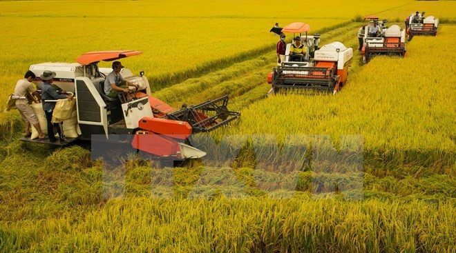 Le Canada souhaite développer le commerce dans le delta du Mékong ảnh 1 Le Canada souhaite développer le commerce dans le delta du Mékong ảnh 1