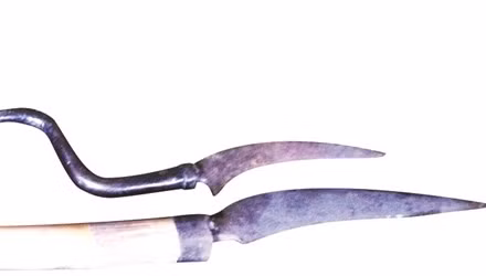 Les serpes sacrées des K’Ho ảnh 2