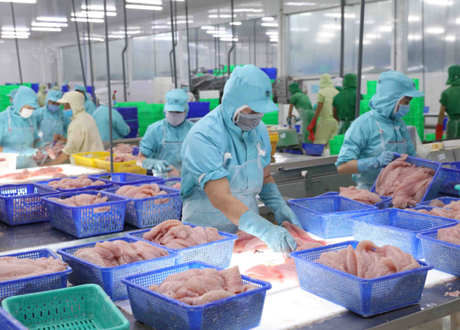 Exportations des produits aquatiques en hausse de 38% en neuf mois ảnh 1 Exportations des produits aquatiques en hausse de 38% en neuf mois ảnh 1