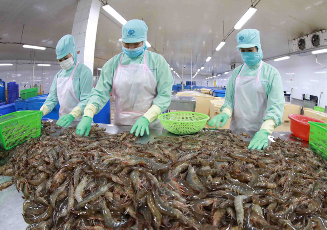 Exportations des produits aquatiques en hausse de 38% en neuf mois ảnh 2 Exportations des produits aquatiques en hausse de 38% en neuf mois ảnh 2
