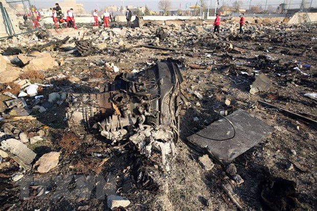 Accident d’avion d'Ukraine Airlines : le Vietnam exprime ses condoléances ảnh 1
