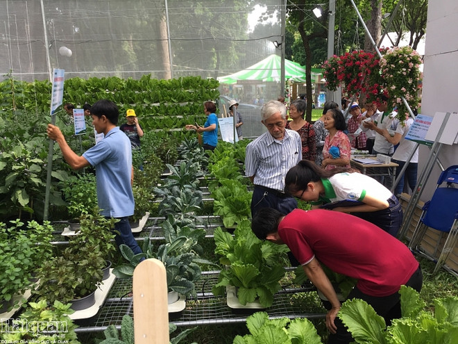 HCM-V: forte croissance de la valeur de production agricole en 2019 ảnh 1 HCM-V: forte croissance de la valeur de production agricole en 2019 ảnh 1