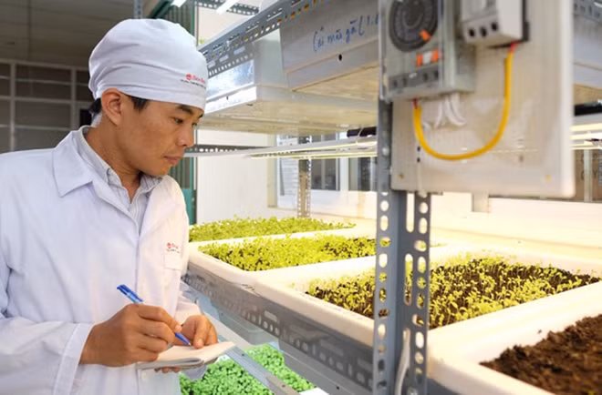 Innovation: le projet FIRST jette les bases de l'avenir ảnh 1