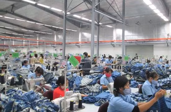 Succès de HanesBrands au Vietnam ảnh 1