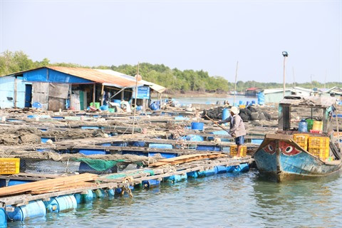 Voyage au village des huîtres de Long Son ảnh 1