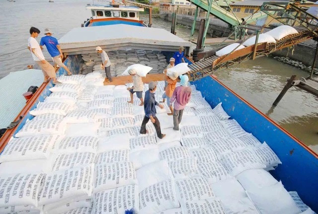 Les exportations de riz atteignent un niveau record depuis 1989 ảnh 2 Les exportations de riz atteignent un niveau record depuis 1989 ảnh 2