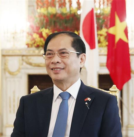 La visite au Japon du président Vo Van Thuong atteint des résultats importants et complets ảnh 2 La visite au Japon du président Vo Van Thuong atteint des résultats importants et complets ảnh 2