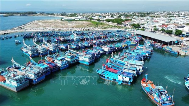 Le MADR renforcera les inspections dans les ports de pêche ảnh 1 Le MADR renforcera les inspections dans les ports de pêche ảnh 1
