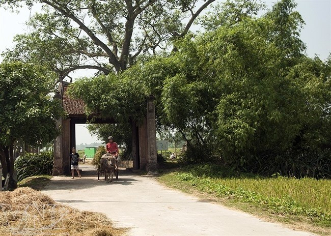 Des experts discutent de la protection du patrimoine de Hanoi ảnh 1 Des experts discutent de la protection du patrimoine de Hanoi ảnh 1