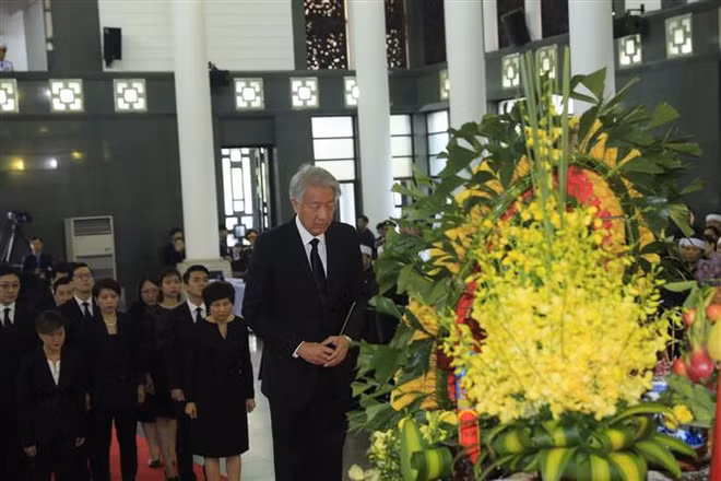 Le vice-PM Truong Hoa Binh reçoit son homologue singapourien Teo Chee Hean ảnh 2