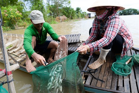 L’arrivée des vives-eaux, une manne pour les pêcheurs ảnh 1 L’arrivée des vives-eaux, une manne pour les pêcheurs ảnh 1