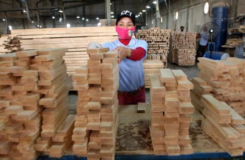 Le "bois légal" du Vietnam peut rentrer sur le marché européen ảnh 1 Le "bois légal" du Vietnam peut rentrer sur le marché européen ảnh 1