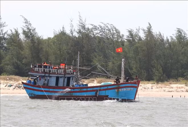 Quang Tri propose des mesures pour mieux gérer les navires de pêche ảnh 1