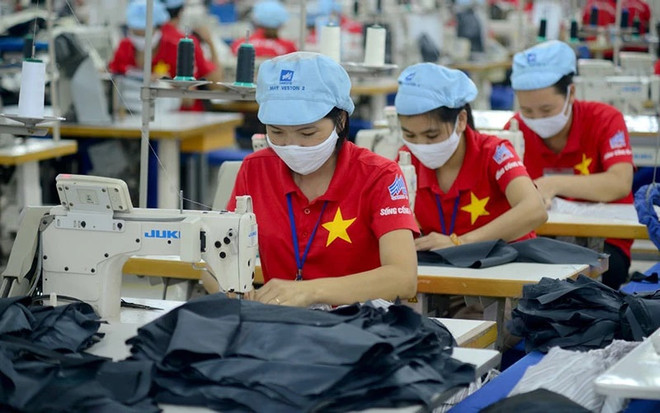 Les entreprises vietnamiennes doivent respecter le Pacte Vert pour l'Europe ảnh 1 Les entreprises vietnamiennes doivent respecter le Pacte Vert pour l'Europe ảnh 1