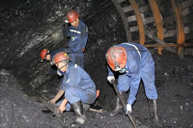 Développement de l’économie verte, « opportunité en or » pour améliorer la sécurité sociale ảnh 2