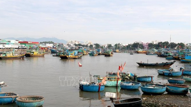 Binh Thuan intensifie les mesures contre la pêche INN ảnh 1 Binh Thuan intensifie les mesures contre la pêche INN ảnh 1