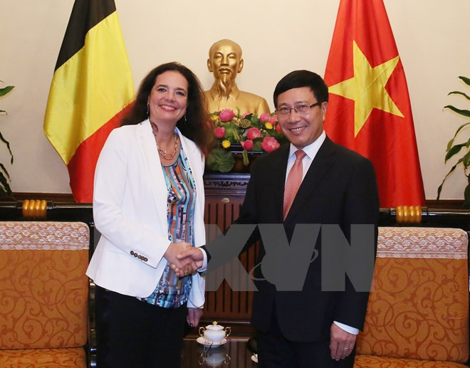 Le chef de la diplomatie rencontre des responsables britannique, belge et islandais ảnh 1 Le chef de la diplomatie rencontre des responsables britannique, belge et islandais ảnh 1