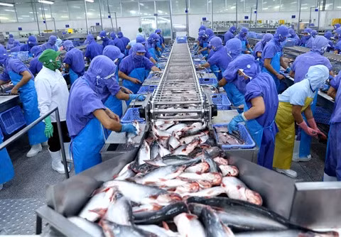 L’aquaculture vise une production et une exportation durables ảnh 1