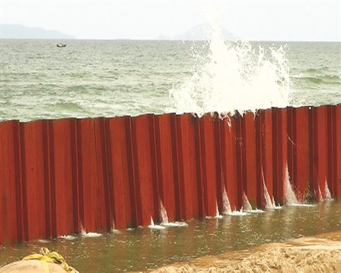 Reboisement des mangroves pour lutter contre l’avancée de la mer ảnh 2 Reboisement des mangroves pour lutter contre l’avancée de la mer ảnh 2