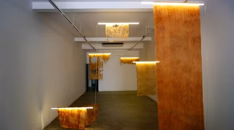 "Between Fragmentation and Wholeness" explore un monde interconnecté ảnh 1