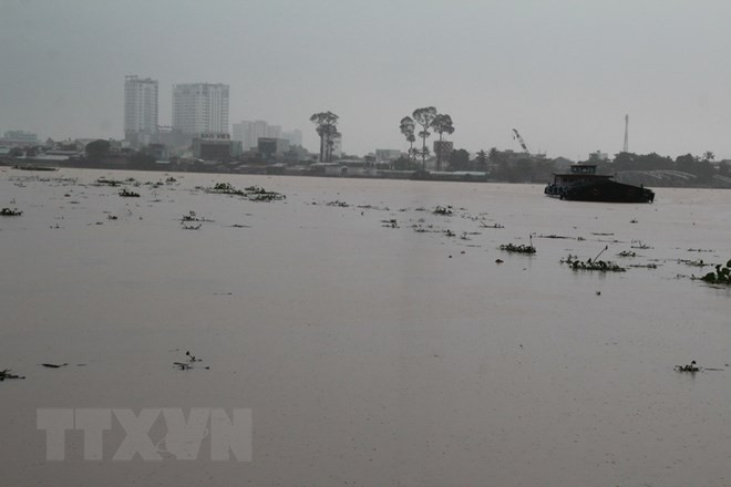 Un colloque sur la gestion globale des bassins des fleuves à Hanoï ảnh 1