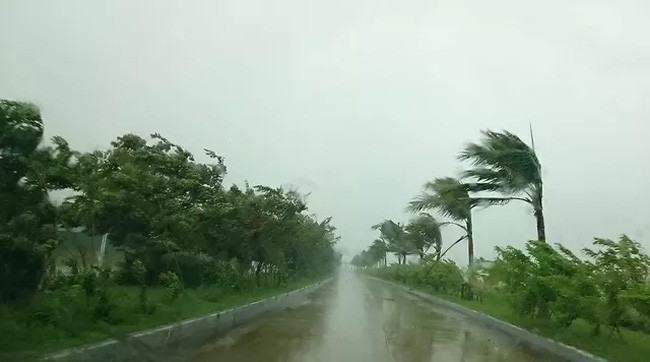 La tempête Dianmu frappe les provinces de Hai Phong et de Thai Binh ảnh 1 La tempête Dianmu frappe les provinces de Hai Phong et de Thai Binh ảnh 1
