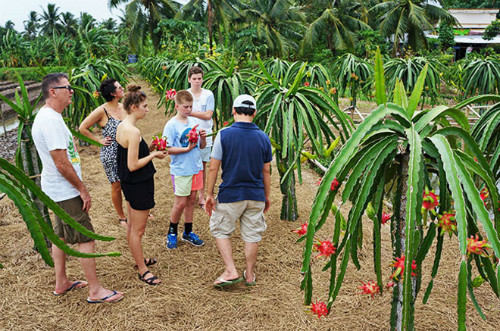 Tourisme: le Vietnam table sur l’objectif de 35 milliards de dollars dans 4 prochaines années ảnh 1 Tourisme: le Vietnam table sur l’objectif de 35 milliards de dollars dans 4 prochaines années ảnh 1