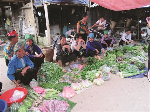 Les sourires de Tram Tâu ảnh 2