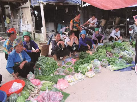 Les sourires de Tram Tâu ảnh 2
