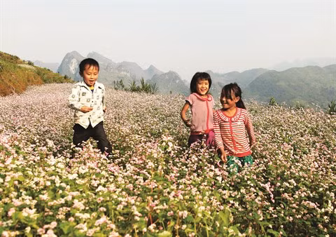 Une journée avec les H’Mông de Mèo Vac ảnh 1